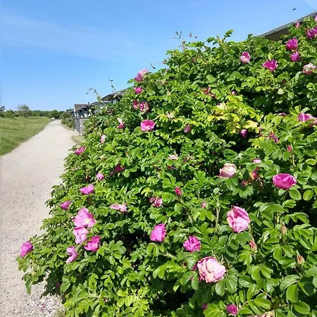 Agernaesgaarden